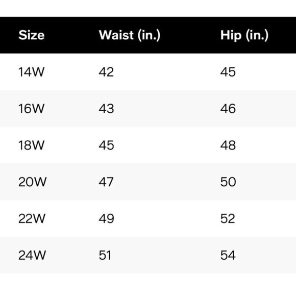 Swim Solutions Plus Size Mid-Rise Tummy-Control Swim Bottoms Black Size 22W New - Picture 14 of 14